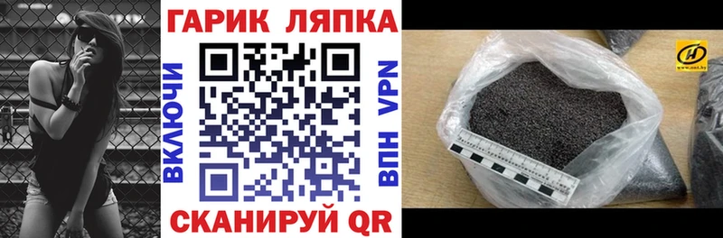 Купить где  Хотьково  ГАШ гарик