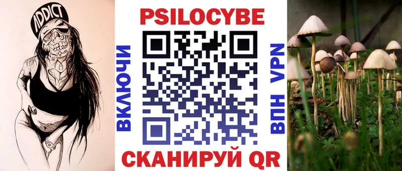 Купить  Хотьково  Псилоцибиновые грибы мицелий 